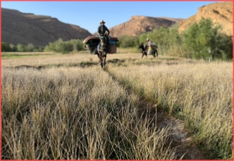 Atlas Mountains Trekking