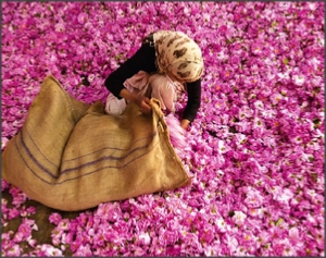 Fes to Marrakech Tour via Merzouga 5 days